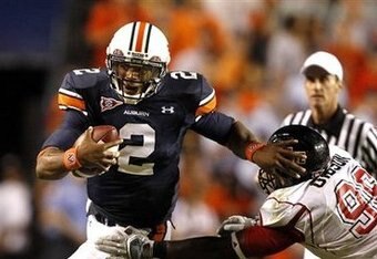 Cameronnewtonrunswild_crop_340x234