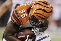 NFL Cuts 2010: Seven Cincinnati Bengals Roster Surprises