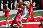 Mascots-tussle_gree_20100922054944_320_240_crop_150x100