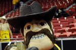 LAS VEGAS - MARCH 10:  Wyoming mascot Pistol Pete appears as the Cowboys take on the Air Force Falcons during the first round of the Conoco Mountain West Conference Basketball tournament at the Thomas & Mack Center March 10, 2010 in Las Vegas, Nevada.  (Photo by Ethan Miller/Getty Images)