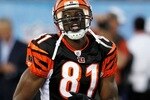 Terrell-owens-bengals1-thumb-400xauto-11786_crop_150x100