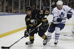 Leafssabres_001_crop_150x100
