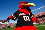 COLUMBIA, SC - NOVEMBER 28:  Cocky, the South Carolina Gamecocks mascot celebrates a first half touchdown against the Clemson Tigers at Williams-Brice Stadium on November 28, 2009 in Columbia, South Carolina.  (Photo by Scott Halleran/Getty Images)