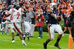 Auolemiss_crop_150x100