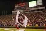 COLUMBIA - NOVEMBER 1:  A general view of the South Carolina Gamecocks mascot running the flag on the field during the game against the Tennessee Volunteers at Williams-Brice Stadium on November 1, 2008 in Columbia, South Carolina. (Photo by: Streeter Lecka/Getty Images)