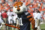 AUBURN, AL - OCTOBER 16:  Auburn University mascot Aubie the Tiger cheers on the field before the game between the Arkansas Razorbacks and the Auburn Tigers at Jordan-Hare Stadium on October 16, 2010 in Auburn, Alabama.  (Photo by Mike Zarrilli/Getty Images)