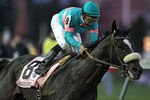 LOUISVILLE, KY - NOVEMBER 06: Zenyatta runs in the Classic during the Breeders' Cup World Championships at Churchill Downs on November 6, 2010 in Louisville, Kentucky.  (Photo by Andy Lyons/Getty Images)