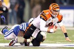 INDIANAPOLIS - NOVEMBER 14:  Carson Palmer #9 of the Cincinnati Bengals is sacked by Eric Foster #68 of the Indianapolis Colts during the NFL game at Lucas Oil Stadium on November 14, 2010 in Indianapolis, Indiana. The Colts won 23-17.  (Photo by Andy Lyons/Getty Images)