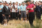 MELBOURNE, AUSTRALIA - NOVEMBER 14:  Tiger Woods of the USA plays out of the rough during round four of the Australian Masters at The Victoria Golf Club on November 14, 2010 in Melbourne, Australia.  (Photo by Ryan Pierse/Getty Images)