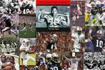 Theauburntigersbr40_crop_150x100