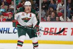 DETROIT, MI - NOVEMBER 19:  Andrew Brunette #15 of the Minnesota Wild skates in a game against the Detroit Red Wings on November 19, 2010 at the Joe Louis Arena in Detroit, Michigan. The Wild defeated the Wings 4-3 in overtime. (Photo by Claus Andersen/Getty Images)
