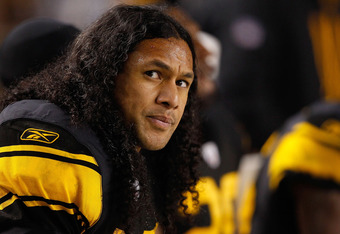 Steelers Polamalu Interception