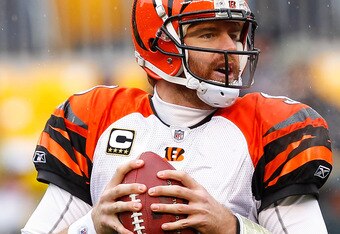 PITTSBURGH - DECEMBER 12: Carson Palmer #9 of the Cincinnati Bengals drops back to pass against the Pittsburgh Steelers during the game on December 12, 2010 at Heinz Field in Pittsburgh, Pennsylvania. (Photo by Jared Wickerham/Getty Images)