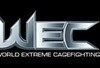 Wec_logo_crop_100x68