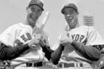 Williams-dimaggio_original_crop_150x100