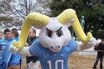 081_crop_150x100