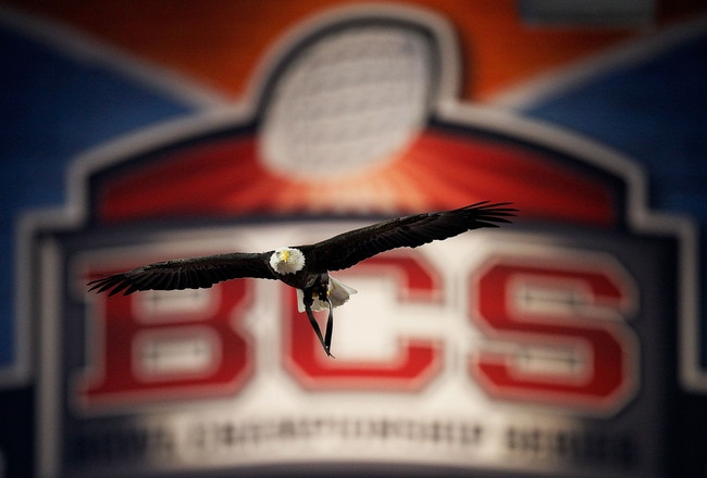 GLENDALE, AZ - JANUARY 10:  Challenger, a Bald Eagle circles the stadium during the national anthem for the Tostitos BCS National Championship Game between the Oregon Ducks and Auburn Tigers at University of Phoenix Stadium on January 10, 2011 in Glendale, Arizona.  (Photo by Kevin C. Cox/Getty Images)