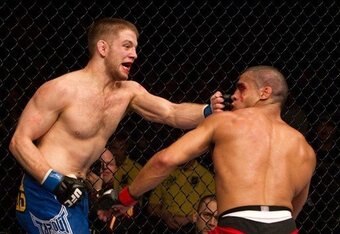 Lentzpunch_crop_340x234