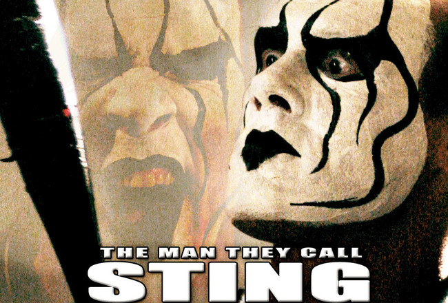 sting debut