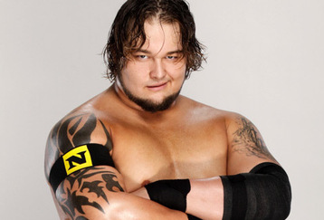 Un profil retiré du roster de RAW Husky-Harris-wwes-the-nexus-16609062-624-388_crop_358x243