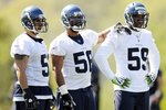 Seahawks_crop_150x100