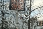 Toomers_crop_150x100