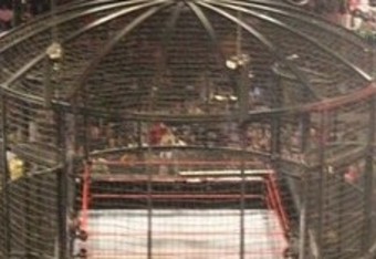 wwe elimation chamber