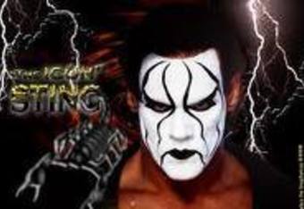 sting debut