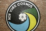 New-york-cosmos_original_crop_150x100
