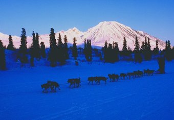 375171_crop_340x234
