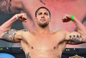schaub