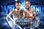 Carrierlp-32953614092-cm-punk-randy-orton-wrestlemania27-wallpaper-800x600-2_crop_150x100