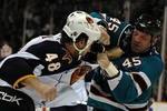 Sharks36_crop_150x100