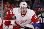DETROIT, MI - MARCH 30:  Johan Franzen #93 of the Detroit Red Wings looks on the St. Louis Blues at Joe Louis Arena on March 30, 2011 in Detroit, Michigan.  (Photo by Gregory Shamus/Getty Images)