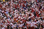 PHILADELPHIA - OCTOBER 17:  Fans cheer for the Phillies as they take on the San Francisco Giants in Game Two of the NLCS during the 2010 MLB Playoffs at Citizens Bank Park on October 17, 2010 in Philadelphia, Pennsylvania.  (Photo by Chris McGrath/Getty Images)