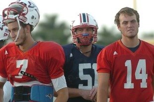Ulm003_original_crop_310x205