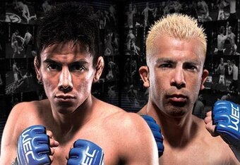 Wec37poster-1_original_crop_340x234