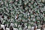 Msuspartans_crop_150x100