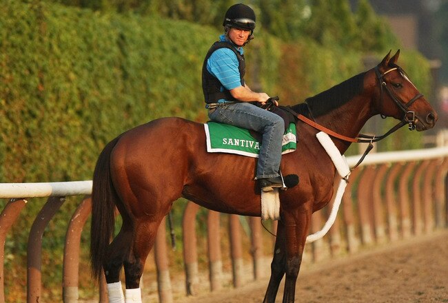 ELMONT, NY - JUNE 09:  Santiva, ridden by Brendan Walsh, waits to enter the track during a morning training session in preparation for The Belmont Stakes at Belmont Park on June 9, 2011 in Elmont, New York.  (Photo by Al Bello/Getty Images)