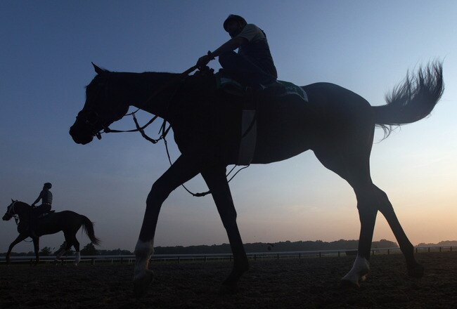 ELMONT, NY - JUNE 10:  Exercise rider Dane Noel takes Prime Cut (R) for a morning training session in preparation for the 143rd running of The Belmont Stakes at Belmont Park on June 10, 2011 in Elmont, New York.  (Photo by Rob Carr/Getty Images)