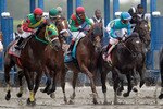ELMONT, NY - JUNE 11: Jockey John Velazquez aboard Animal Kingdom #9 breaks from the starting gate during the 143rd running of the Belmont Stakes at Belmont Park on June 11, 2011 in Elmont, New York.  (Photo by Rob Carr/Getty Images)