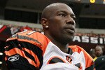 ATLANTA - OCTOBER 24:  Terrell Owens #81 of the Cincinnati Bengals against the Atlanta Falcons at Georgia Dome on October 24, 2010 in Atlanta, Georgia.  (Photo by Kevin C. Cox/Getty Images)