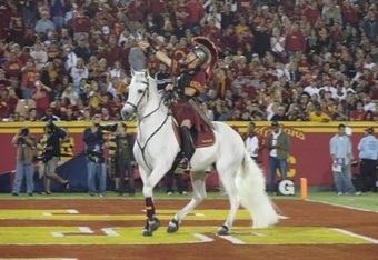 Usc Horse