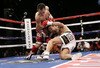 Donaire_crop_100x68
