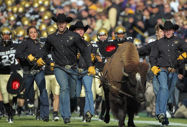 BOULDER, CO - NOVEMBER 20:  Ralphie IV, the mascot for the Colorado Buffaloes, leads coach Brian Cabral (R) and the team onto the field to face the Kansas State Wildcats at Folsom Field on November 20, 2010 in Boulder, Colorado. Colorado defeated Kansas State 44-36.  (Photo by Doug Pensinger/Getty Images)