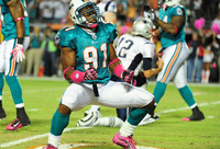 7 Reasons 'Fins Fans Should be Excited for 2011