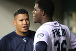 SEATTLE - APRIL 12:  Felix Hernandez #34 of the Seattle Mariners talks with starting pitcher Michael Pineda #36 after he was removed from the game in the eighth inning against the Toronto Blue Jays at Safeco Field on April 12, 2011 in Seattle, Washington. The Mariners defeated the Blue Jays 3-2, and Pineda was credited with the win. (Photo by Otto Greule Jr/Getty Images)