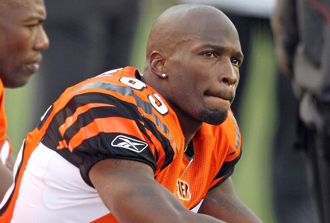 CINCINNATI - NOVEMBER 21:  Chad Ochocinco #85 and Terrell Owens #81 of the Cincinnati Bengals watch from the sideline during the final minutes of the Bengals 49-31 loss to the Buffalo Bills at Paul Brown Stadium on November 21, 2010 in Cincinnati, Ohio.  (Photo by Andy Lyons/Getty Images)