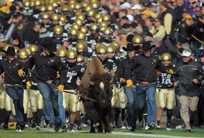 BOULDER, CO - NOVEMBER 20:  Ralphie IV, the mascot for the Colorado Buffaloes, leads coach Brian Cabral (R) and the team onto the field to face the Kansas State Wildcats at Folsom Field on November 20, 2010 in Boulder, Colorado.  (Photo by Doug Pensinger/Getty Images)