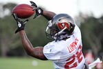 TAMPA, FL - JULY 29:  Running back Kregg Lumpkin #28 of the Tampa Bay Buccaneers grabs a pass during the team's first pre-season training camp practice July 29, 2011 at One Buccaneer Place in Tampa, Florida. (Photo by Al Messerschmidt/Getty Images)